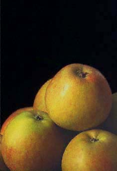Apple Coxs Orange Pippin